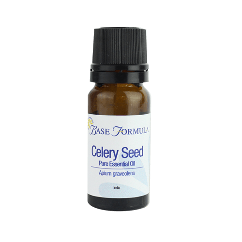 100 pure Celery Seed (Apium graveolens) Essential Oil